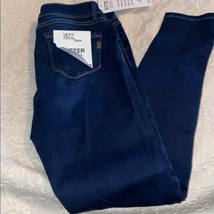 1822 Butter Denim Skinny Jeans
